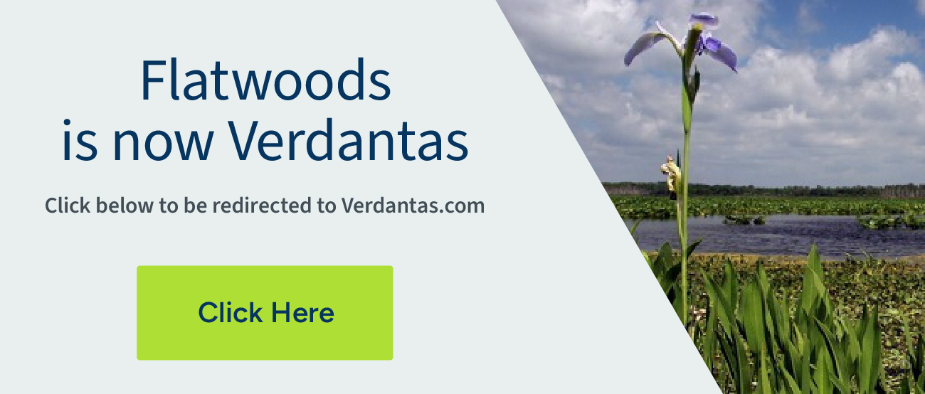 Flatwoods is now Verdantas. Click to be redirected to Verdantas.com.